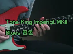 Download Video: 【音色】Neural DSP Tone King Imperial MKII 制作的Blues风格8种音色