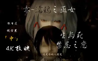 放生莲 搜索结果 哔哩哔哩 Bilibili