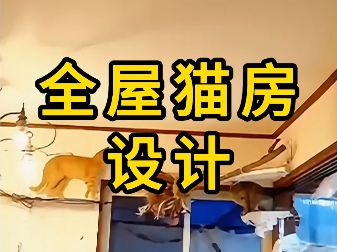 全屋猫房设计哔哩哔哩bilibili