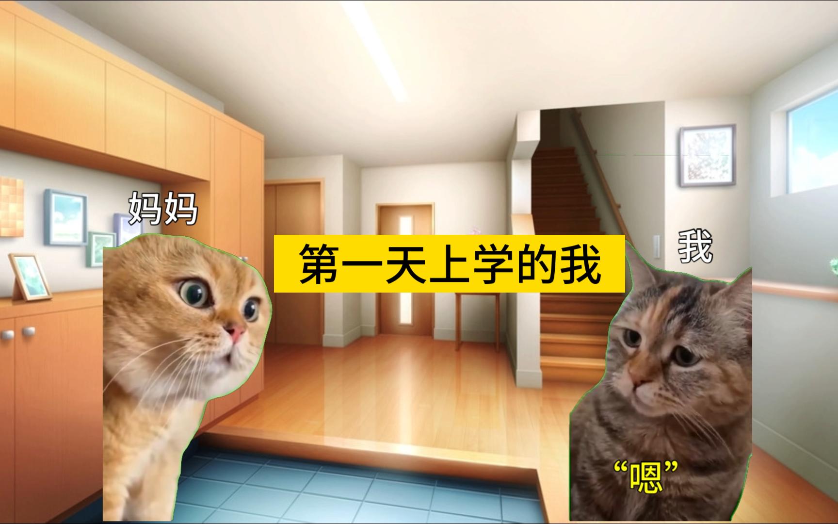 【猫meme】第一天上学的我(第一集)哔哩哔哩bilibili