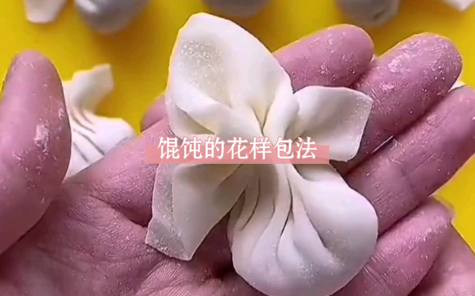 馄饨的花样包法哔哩哔哩bilibili