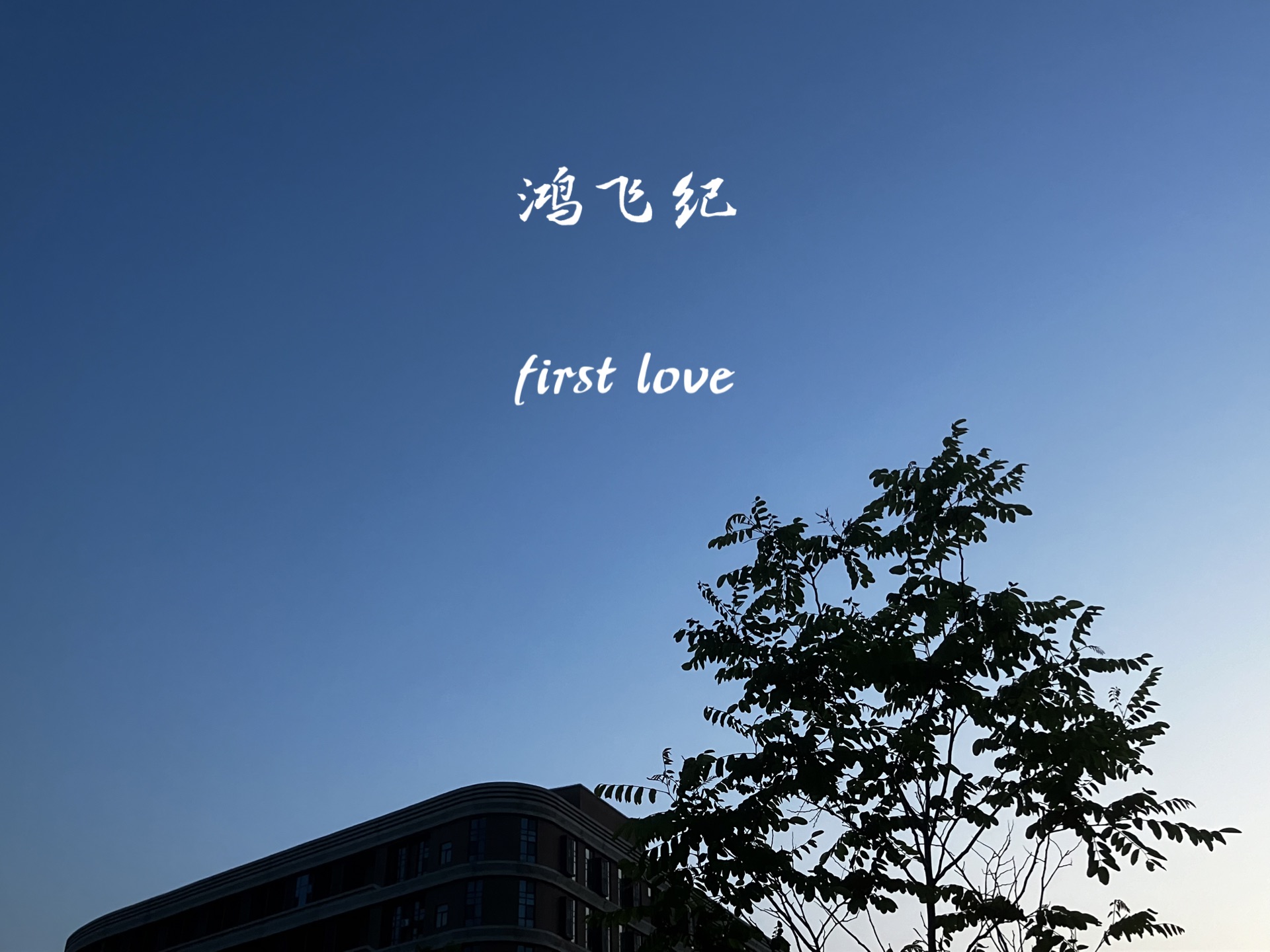 鸿飞纪 | first love哔哩哔哩bilibili