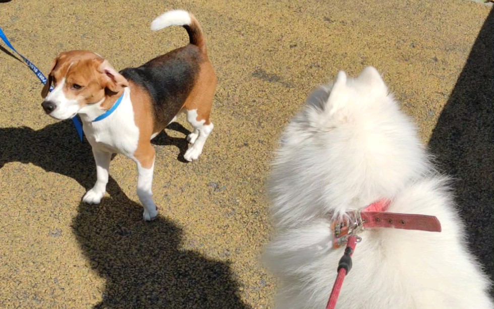 【魔都痴汉c】最新视频已上线,快来围观!