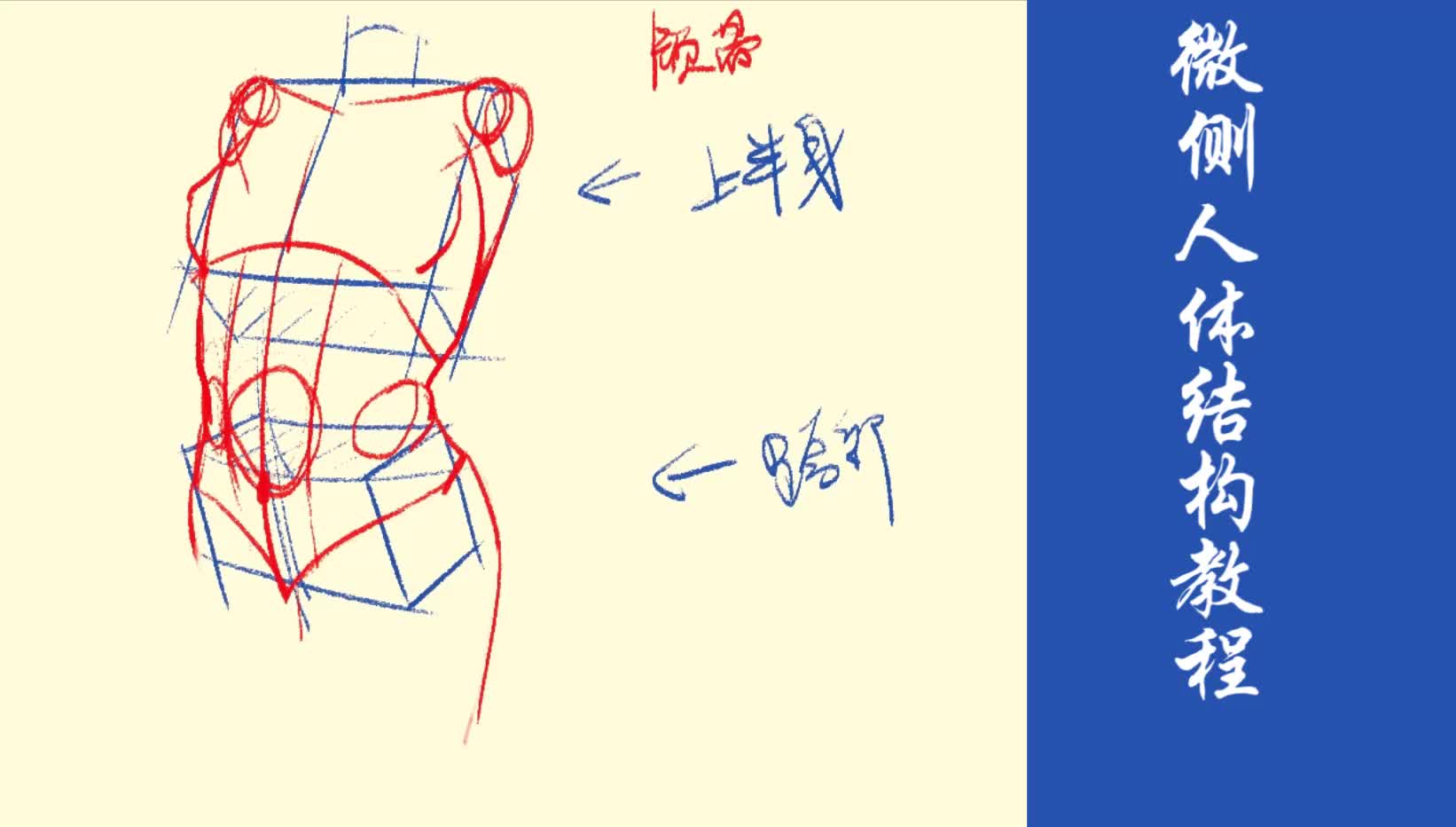 怎么画人体最简单?细分步骤教你学会人体动态(微侧)哔哩哔哩bilibili