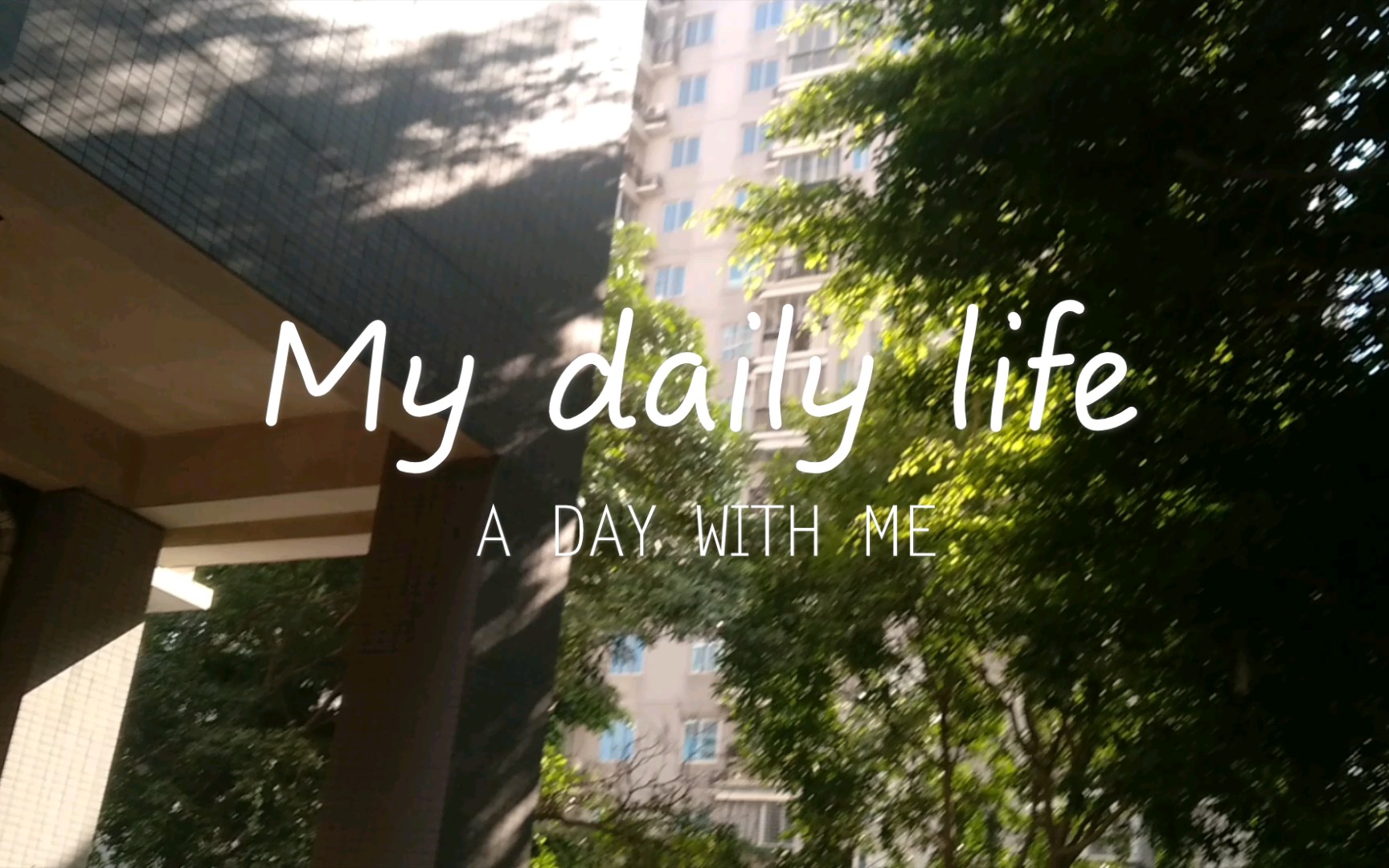 活动作品mydailylife