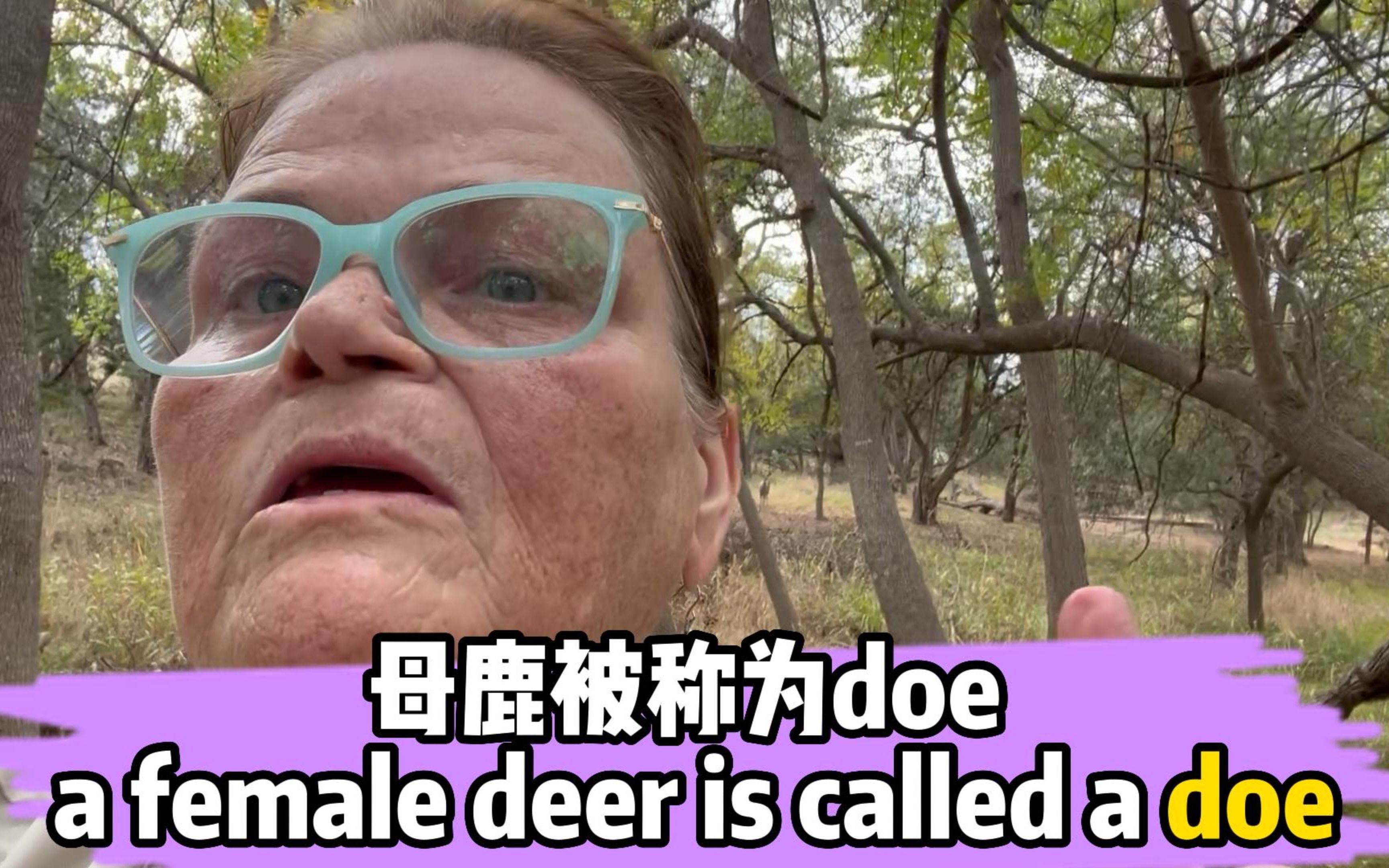 母鹿不是female deer?哔哩哔哩bilibili