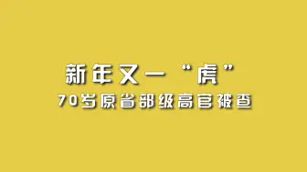 下载视频: 新年又一“虎”，70岁原省部级高官被查