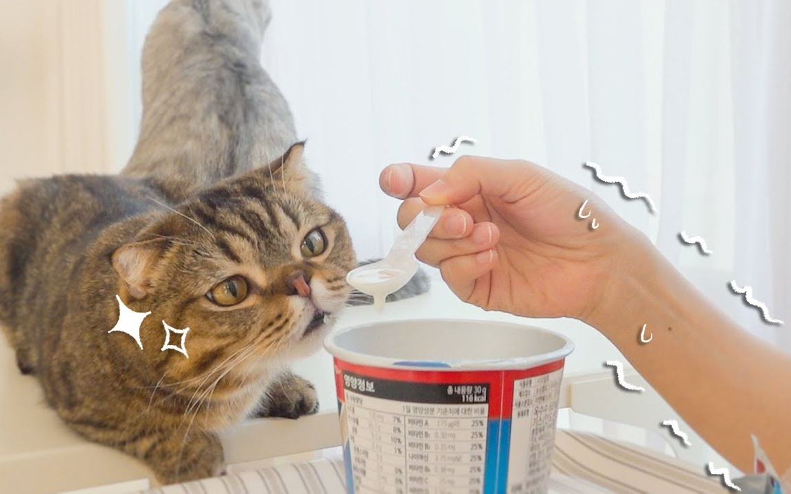 creamheroes中字自从养了lulu后我日渐消瘦的原因