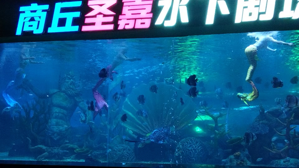 【在五月漂去隐居】我的最新作品,快来一睹为快!