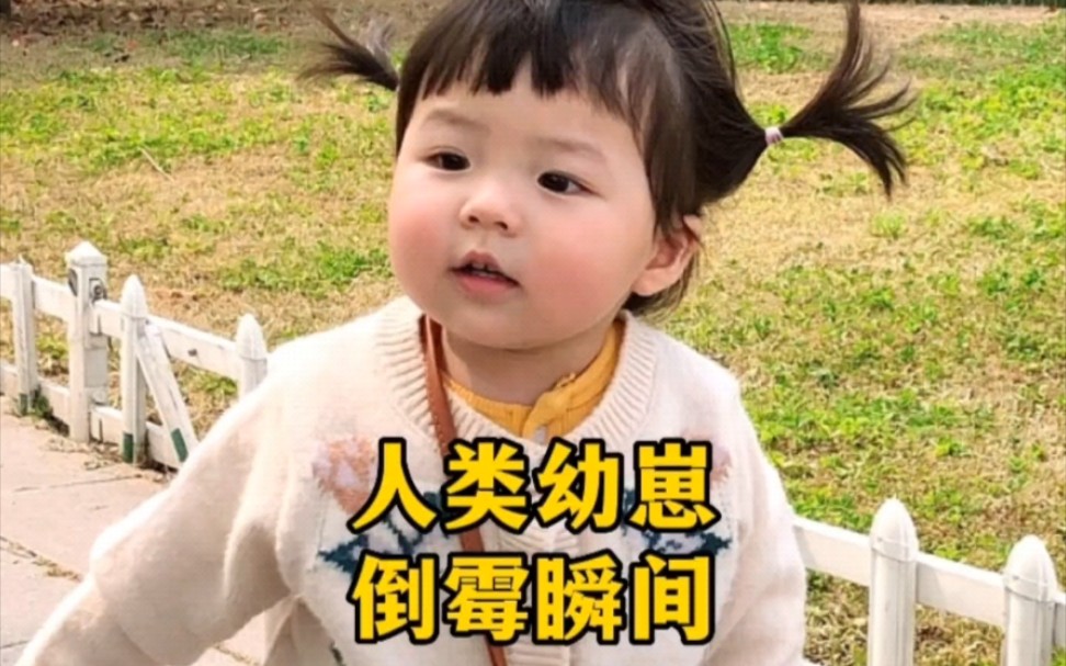 [图]盘点人类幼崽的倒霉瞬间，小小年纪承受了太多，哈哈哈！