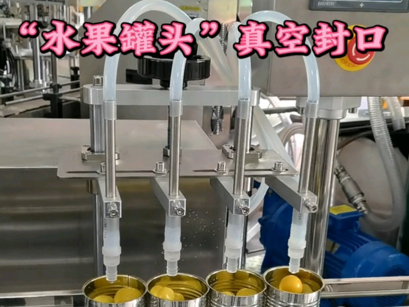 水果罐头抽真空封罐机 马口铁罐真空生产线#罐头抽真空封罐机#马口铁