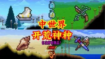 Download Video: 【泰拉瑞亚】中世界开荒神种！附魔剑，海螺，飞毯，沙暴瓶..全都有！