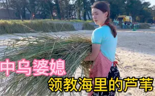 Video herunterladen: 乌克兰媳妇体验中国婆婆的工作，感叹莆田女人太勤劳了