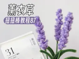 Download Video: 薰衣草扭扭棒教程