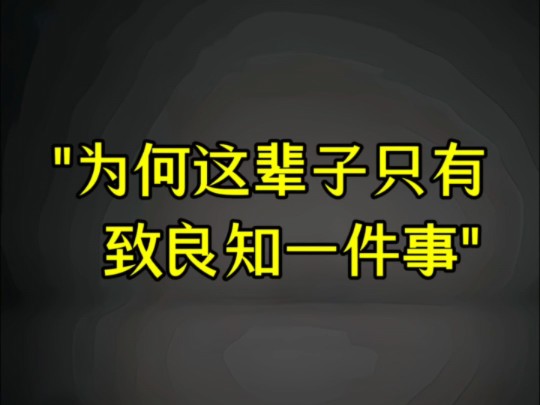 提醒:致良知的本质哔哩哔哩bilibili