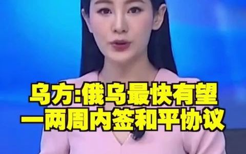 乌方:俄乌最快有望一两周内签和平协议哔哩哔哩bilibili