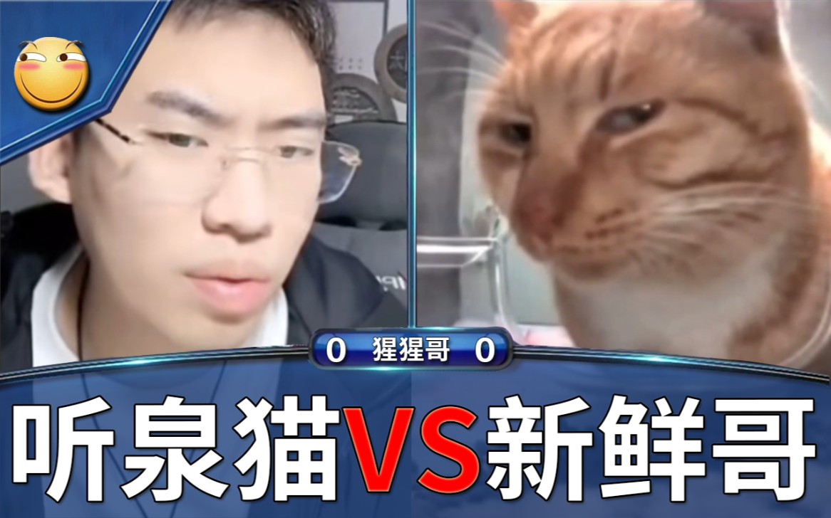 [图]泉 猫 之 战