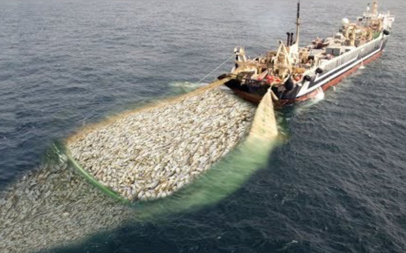 我国的南极海上捕捞船,到底有何神奇?一年轻松捕2.6万吨鱼虾!