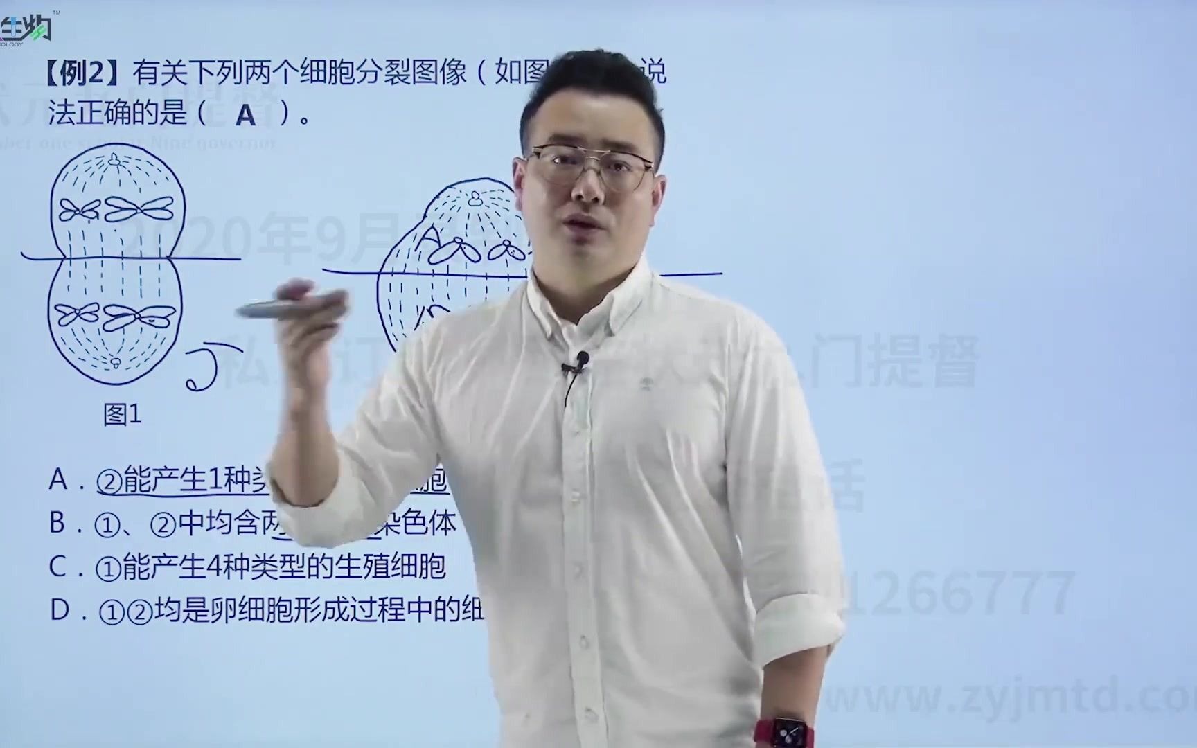 刘大鹏生物-减数分裂和有丝分裂