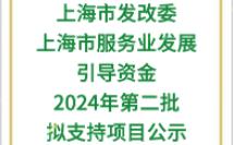 【上海市发改委】:上海市服务业发展引导资金2024年第二批拟支持项目公示哔哩哔哩bilibili