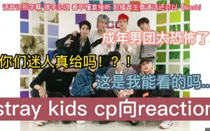 Download Video: 【Stray Kids reaction】第一次看迷cp...迷人全员给？你们成年男团这么恐怖吗？