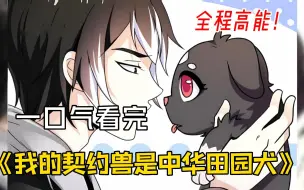 Download Video: 一口气看完【我的契约兽是中华田园犬】男人开局只有一条狗，其余装备全靠开挂！