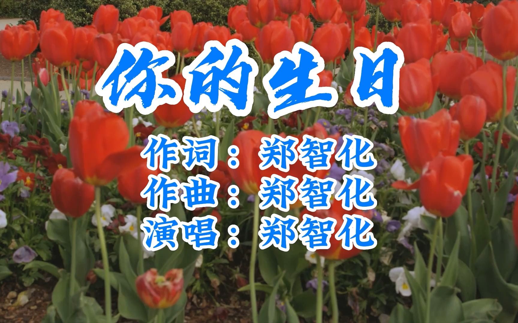 郑智化你的生日国语哔哩哔哩bilibili