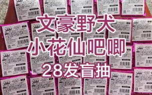 Download Video: 文豪野犬 抽一抽28发小花仙！最爱的qqr系列！