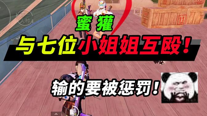 突击手蜜獾/-哔哩哔哩_bilibili