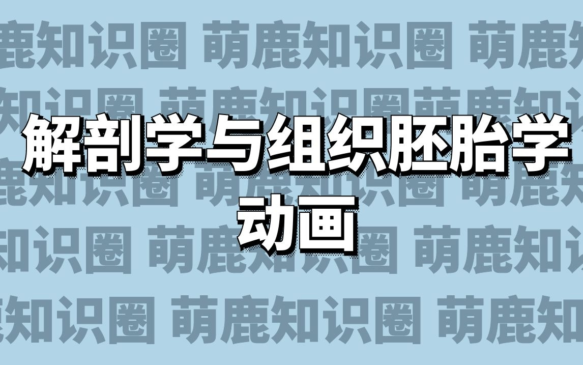 [图]【医学动画】解剖学与组织胚胎学动画（500个逐一上传中）