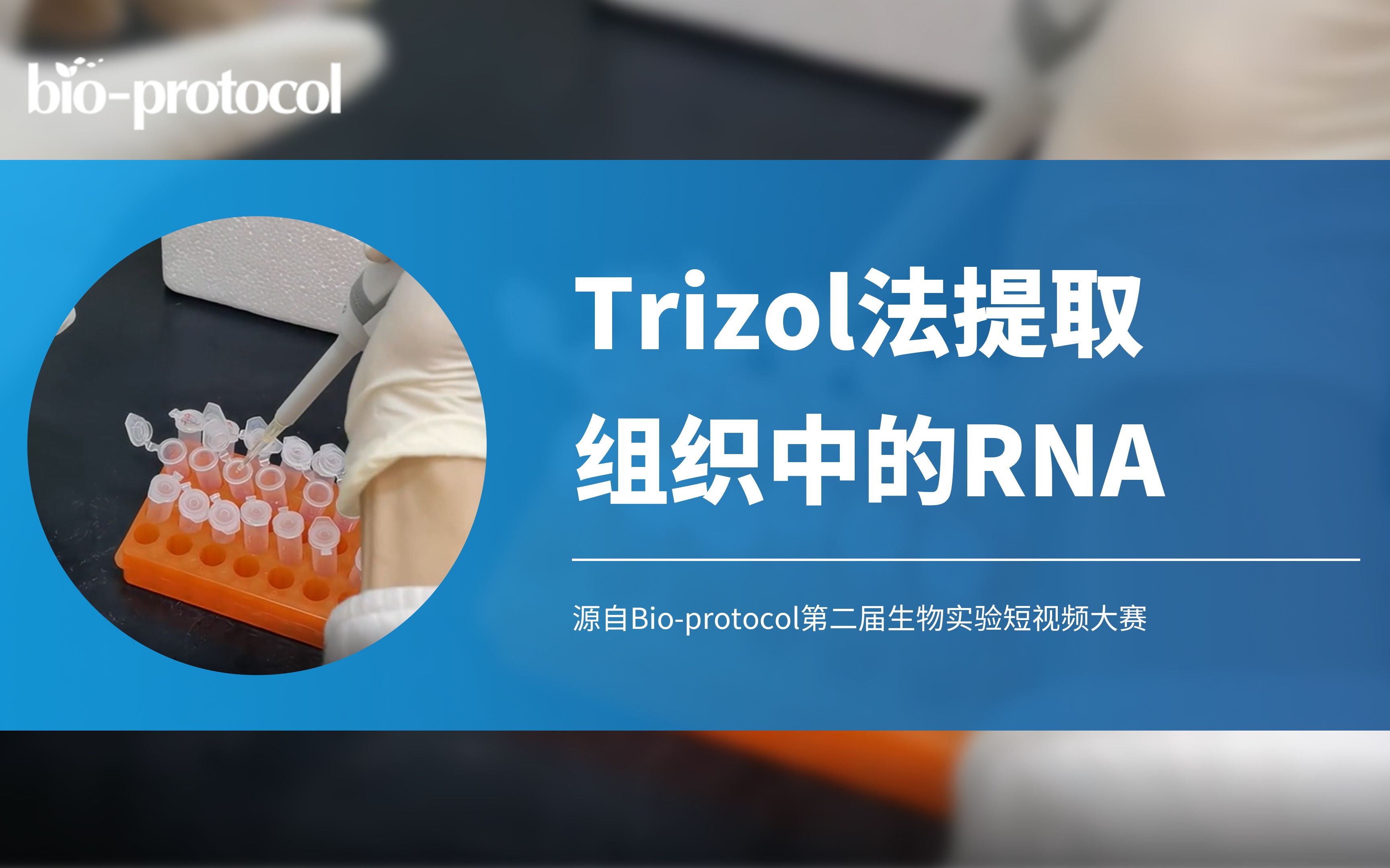 【Bioprotocol】Trizol法提取组织中的RNA哔哩哔哩bilibili