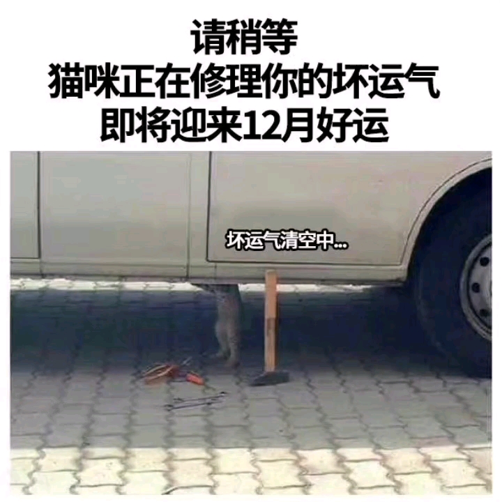 [图]迎接十二月的好运吧！