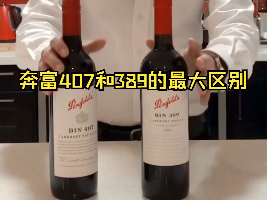 Penfolds(奔富)Bin389和Bin407的区别,知道这些就够了 #奔富红酒 #选酒指南哔哩哔哩bilibili