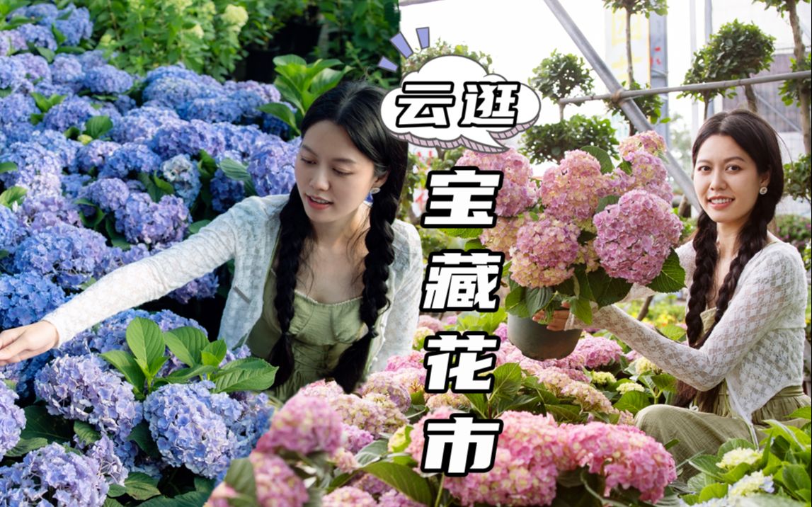 [图]肘！带你们云逛宝藏花市！便宜又好看！快来看花花治愈一夏