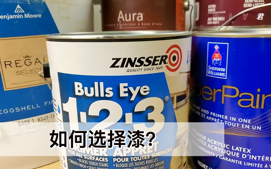 漆的种类,装潢如何选择油漆?|新手装修刷漆系列(1)哔哩哔哩bilibili