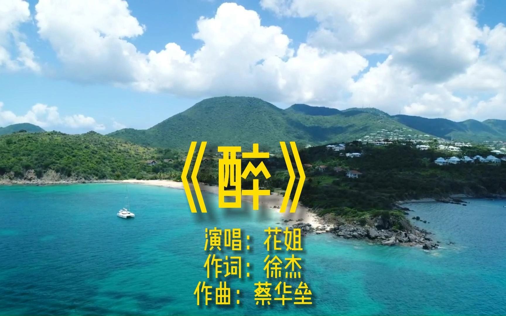 [图]《醉》DJ完整版MV演唱花姐网络流行歌曲唯美金曲热歌车载音乐舞曲