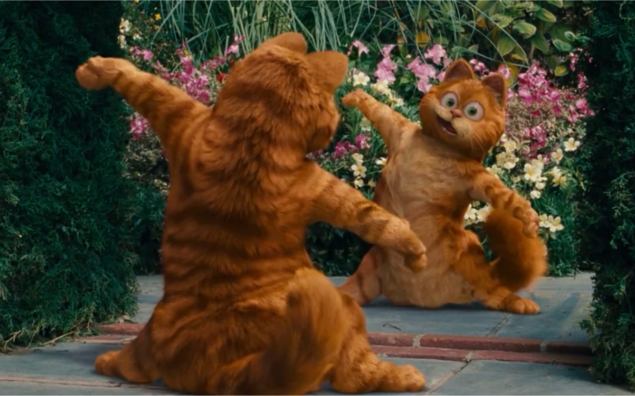 2只加菲猫第一次碰面的这段太搞笑了