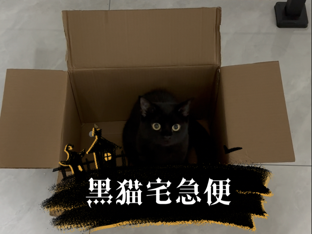 黑猫宅急便,请...请客人享用...哔哩哔哩bilibili