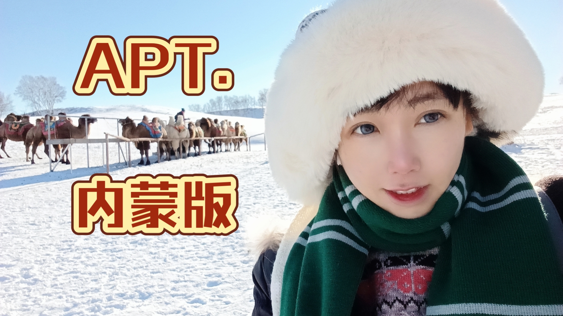 零下18度跳舞「APT.」哔哩哔哩bilibili