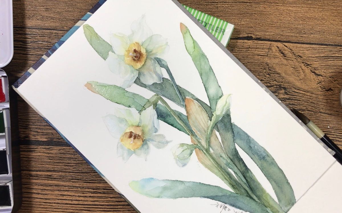 【水彩】水仙花上色过程