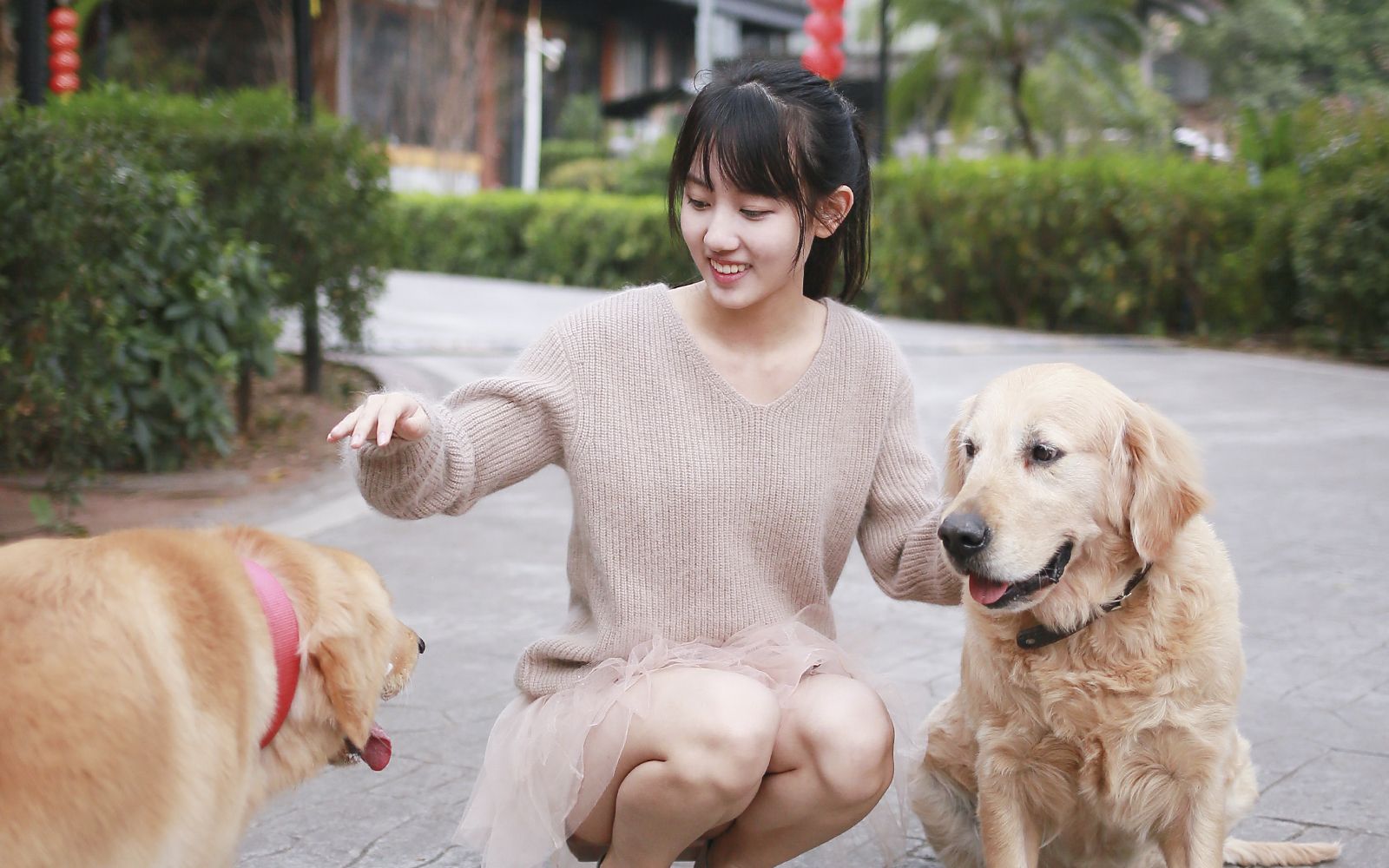 【gnz48王盈】dont touch(别摸老娘性感短腿版)