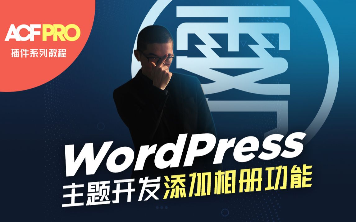 WordPress 添加相册功能【Advanced Custom Fields PRO自定义字段插件系列教程】哔哩哔哩bilibili