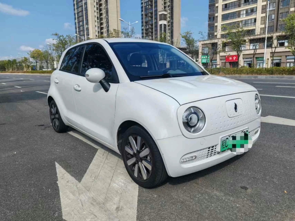 【品牌车型】欧拉 黑猫 2019款 351km 亲子版 【上牌日期】2020年07月