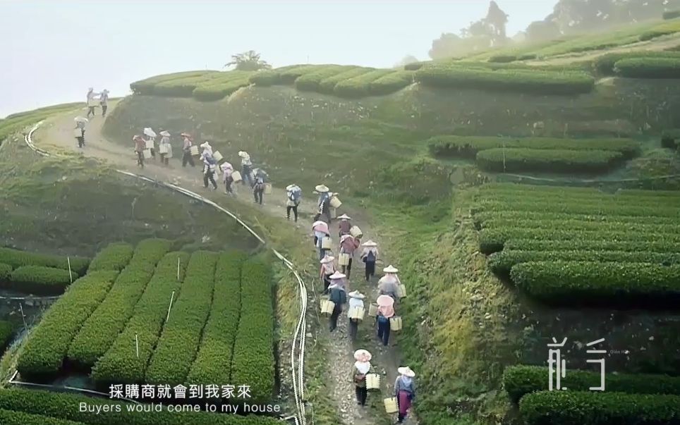 [图]茶事·游山茶访