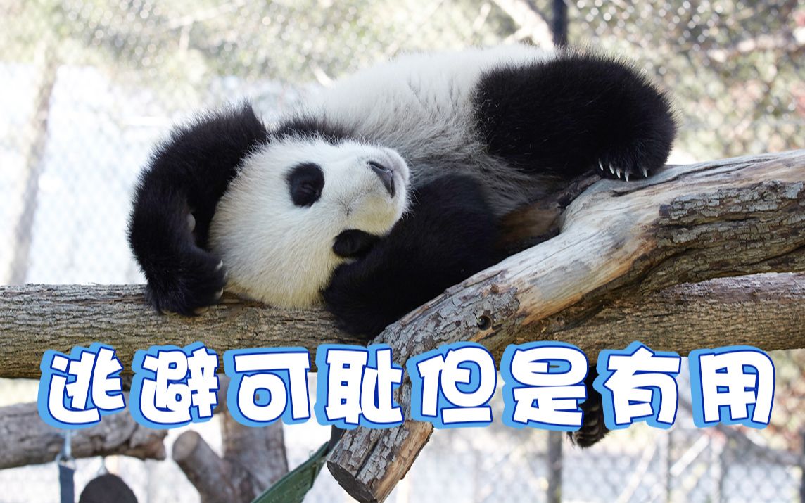 让熊孩子乖乖上学有多难?家长和孩子都很崩溃!