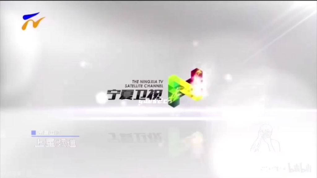 宁夏卫视新台标
