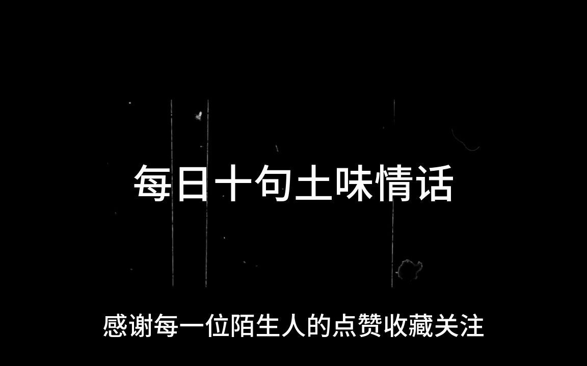 【土味情话1】每日土味情话!建议全篇背诵哔哩哔哩bilibili