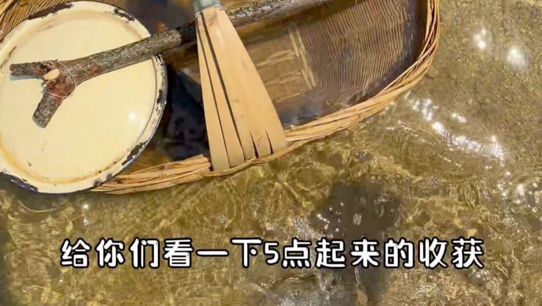小希的奇妙冒险3 登陆大大岛