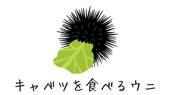 【初音ミク】吃卷心菜的海胆之歌【キテ(ココー99センドト)】