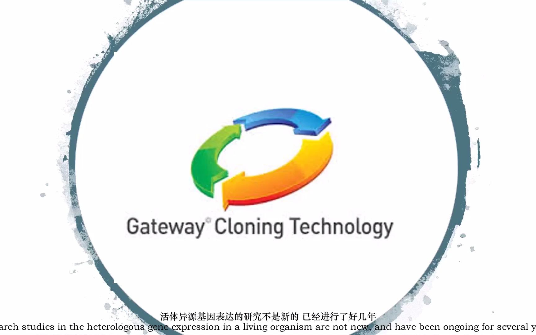 Gateway cloning technology Introduction Part 1 Gateway 克隆技术介绍 第一部分哔哩哔哩bilibili